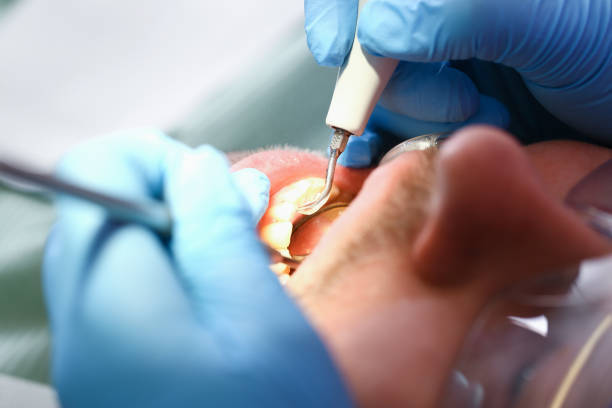 Best Emergency Orthodontic Services in Albion, MI