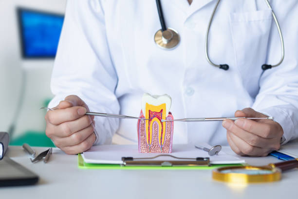 Best Emergency Dental Care for Broken or Chipped Teeth in Albion, MI